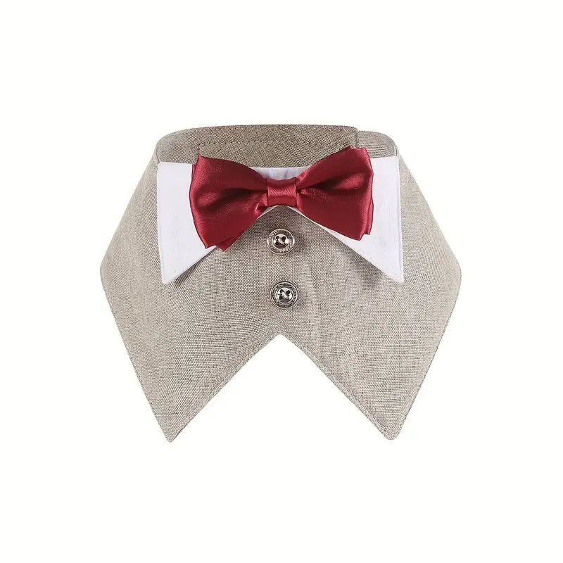 Dog Collar Pet Suit